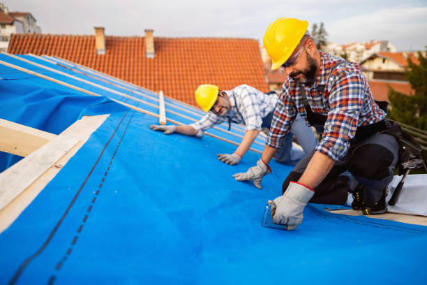 Best Storm Damage Roof Repair  in Nes, IL
