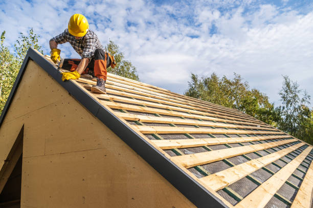 Roof Gutter Cleaning in Niles, IL