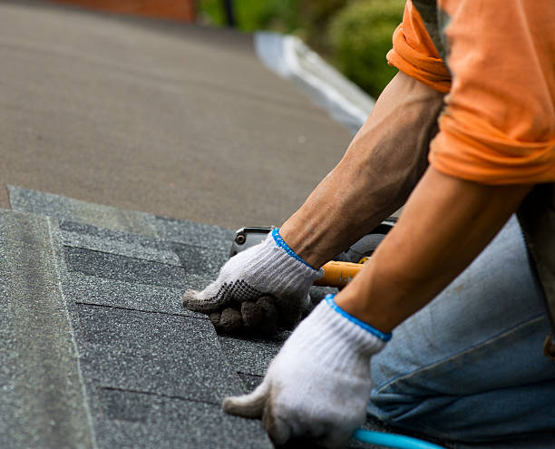 Best New Roof Installation  in Nes, IL