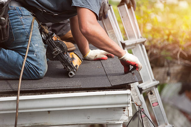 Best Roof Maintenance Services  in Nes, IL