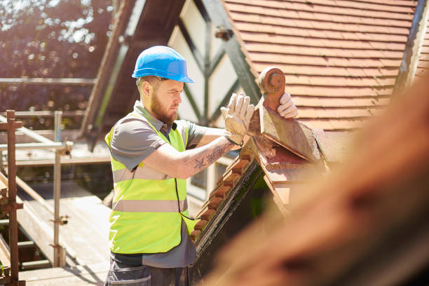 Best New Roof Installation  in Nes, IL