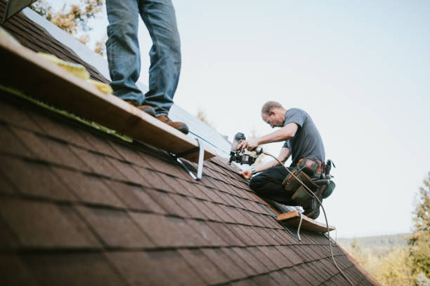 Best Roof Repair Services  in Nes, IL