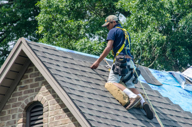 Best Commercial Roofing Services  in Nes, IL