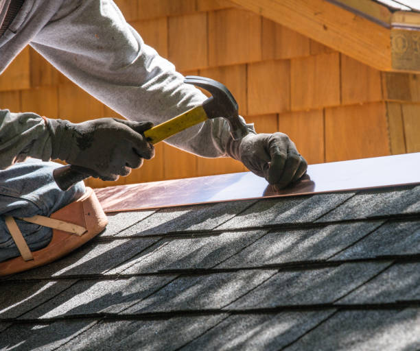 Best Roof Waterproofing Services  in Nes, IL